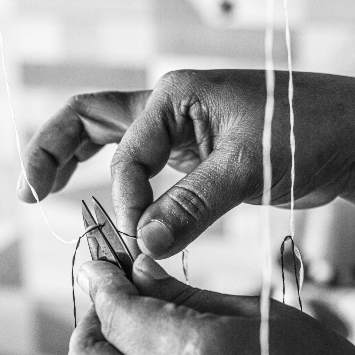 Black and white close-up of hands holding sewing threads and scissors.